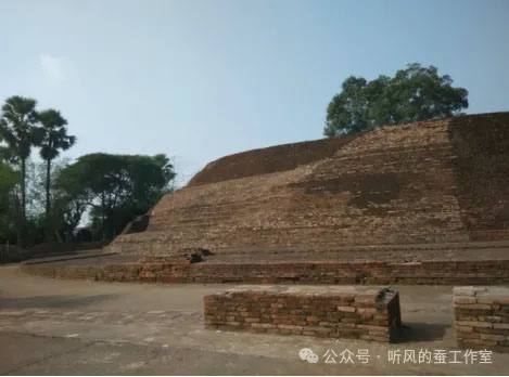 听风的蚕朱唯一