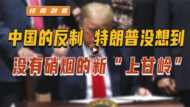 终南剑客